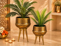Aurelia Planter Duo