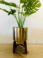 Home Decor Planter