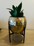 Aurelia Hammered Planter