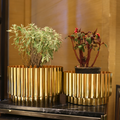 Two gold metallic planters with plants on a reflective surface.