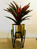 Indoor Planter