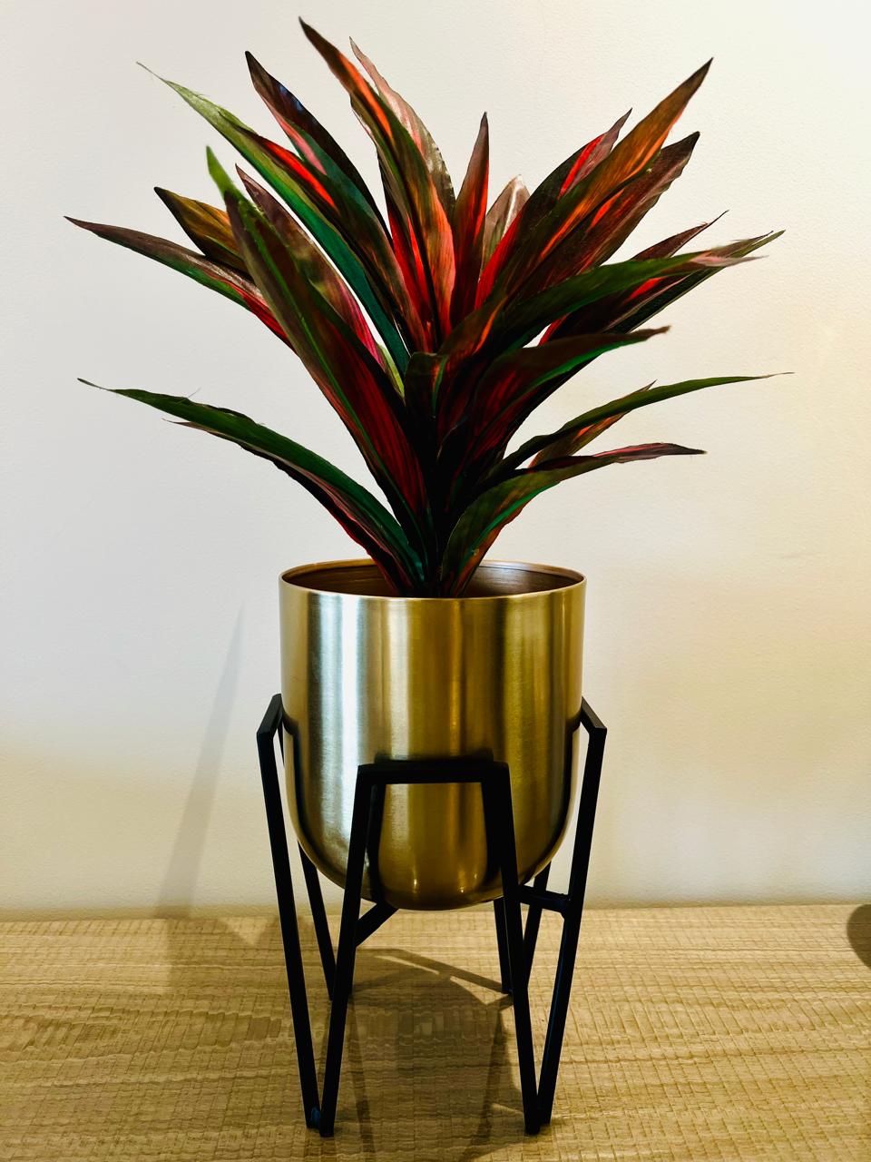 Indoor Planter