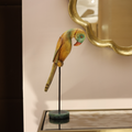 Parrot on Stand