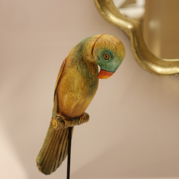 Parrot on Stand