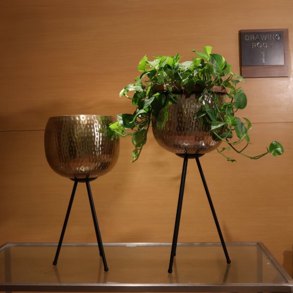 Two decorative planters with green plants.