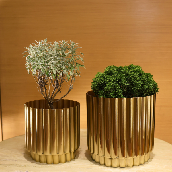 Two gold metallic planters with plants on a wooden surface and background